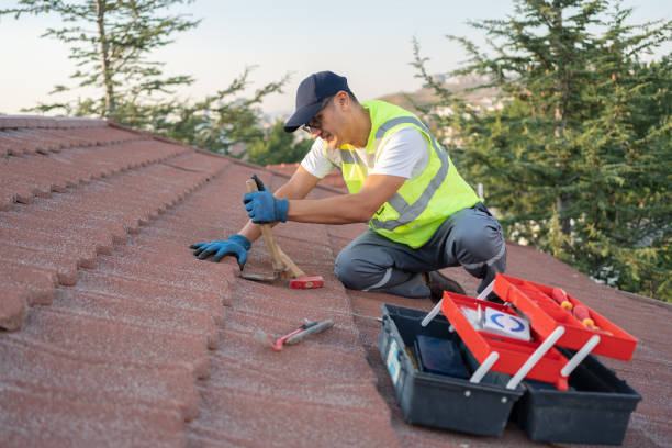 Roof Gutter Cleaning in Schwenksville, PA